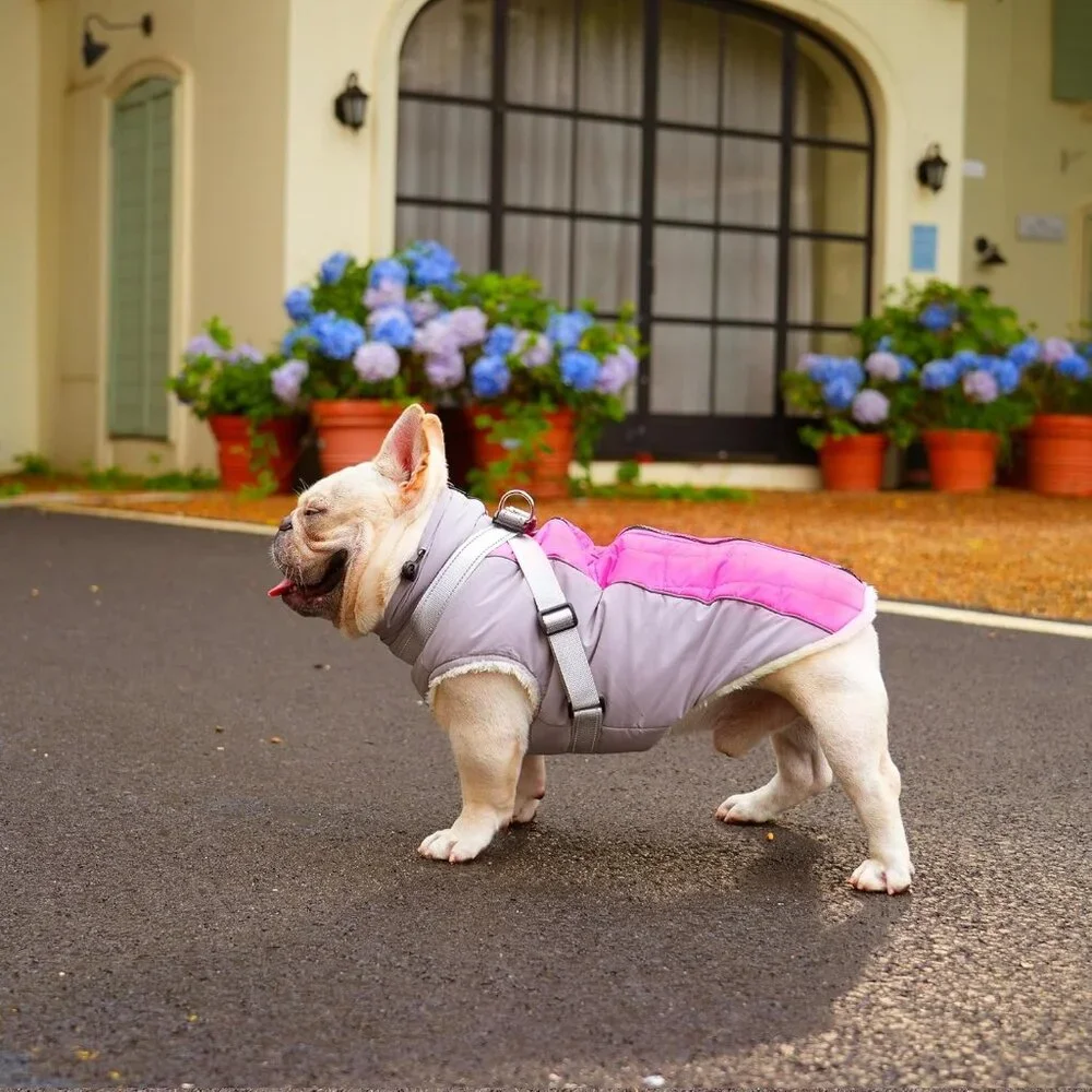 Fleece Dog Coat with Harness Jacket Warm Winter Vest for Small Dogs M XL